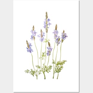 purple fernleaf lavender watercolor Posters and Art